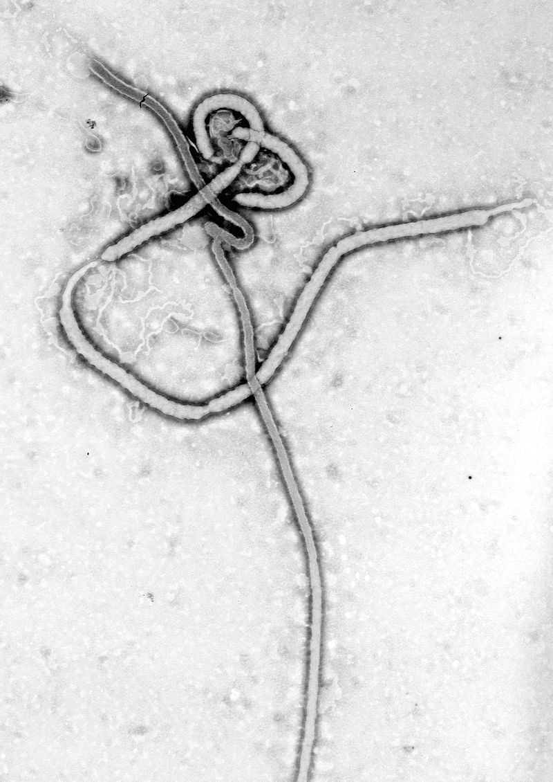 medikament-ebola